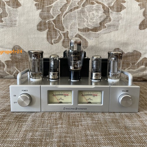 Assembled spartan tube amp - f1,